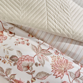 Essentials Cotton Duvet Set