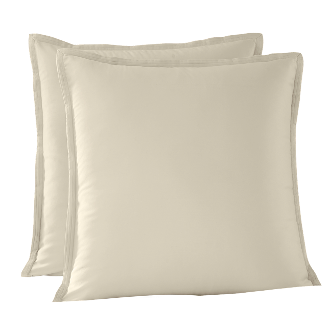 Tan Euro sham set.