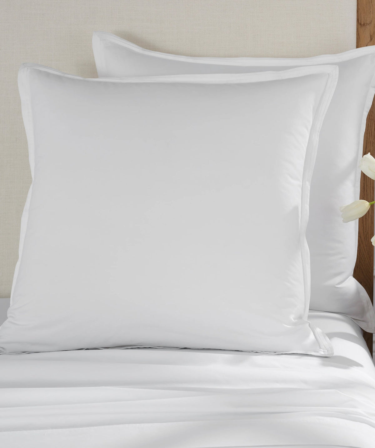 Two white percale euro shams styled on a bed.
