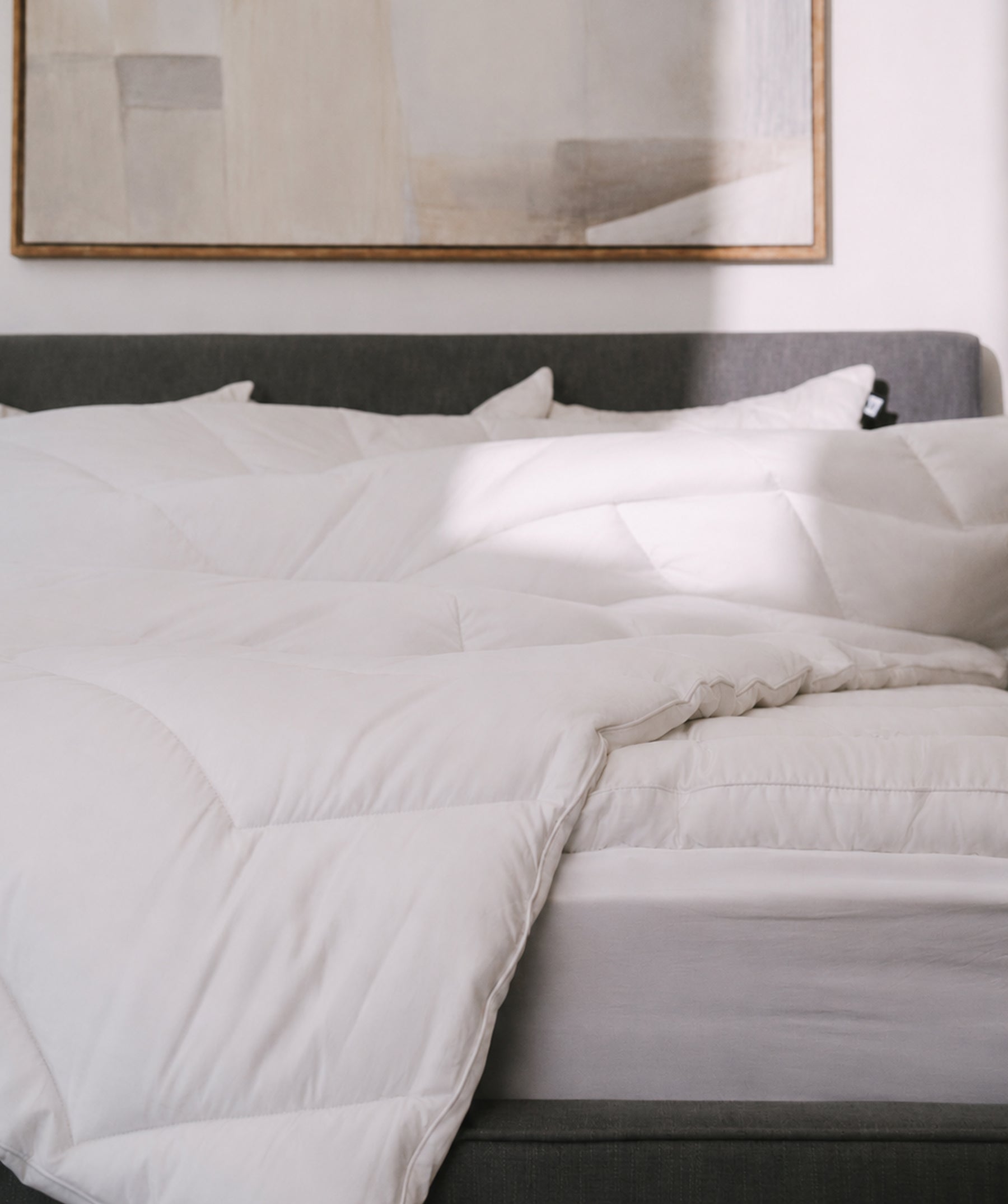 Supreme Comfort Down Alternative Comforter - Lightweight