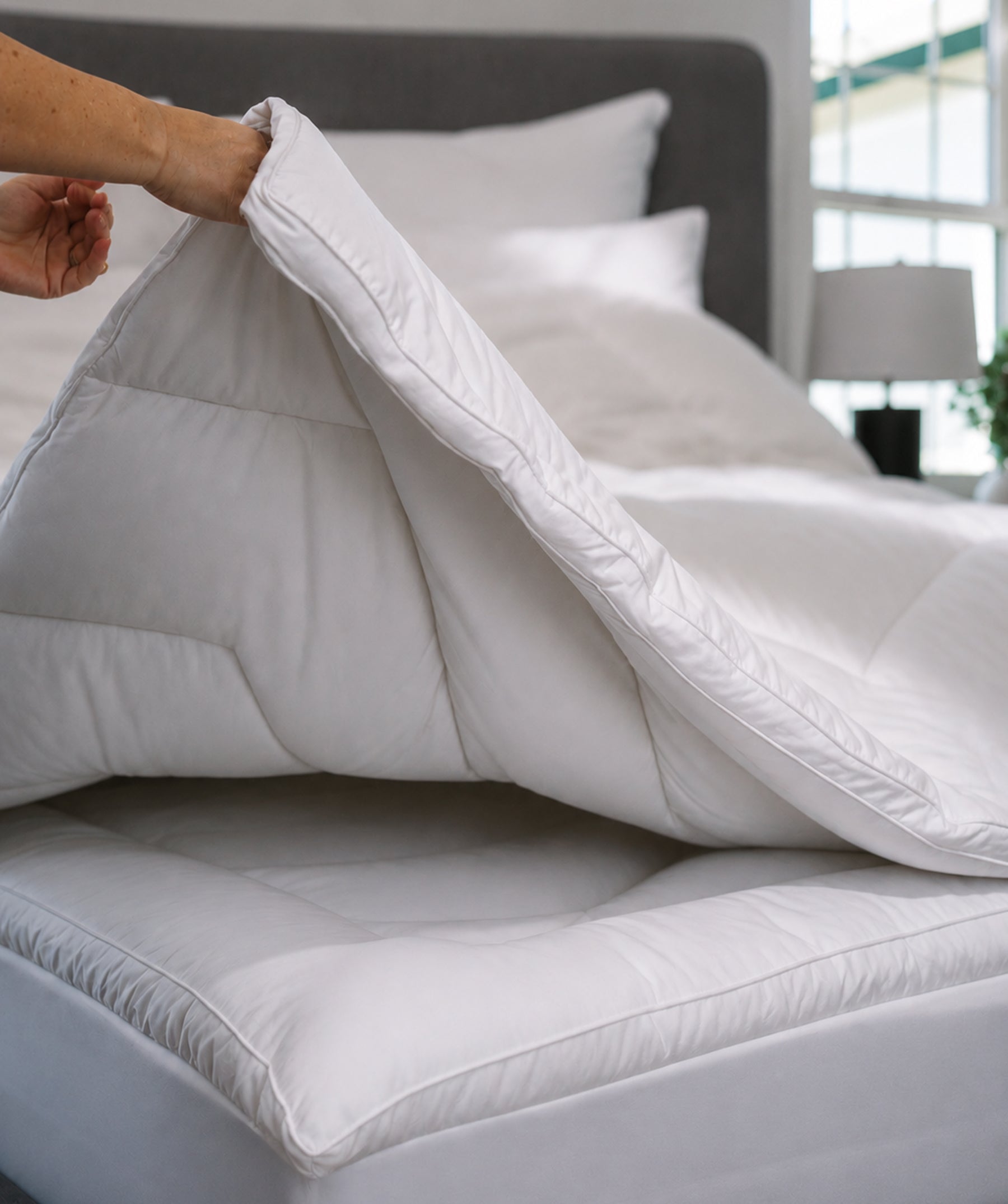 Supreme Comfort Down Alternative Comforter - Lightweight