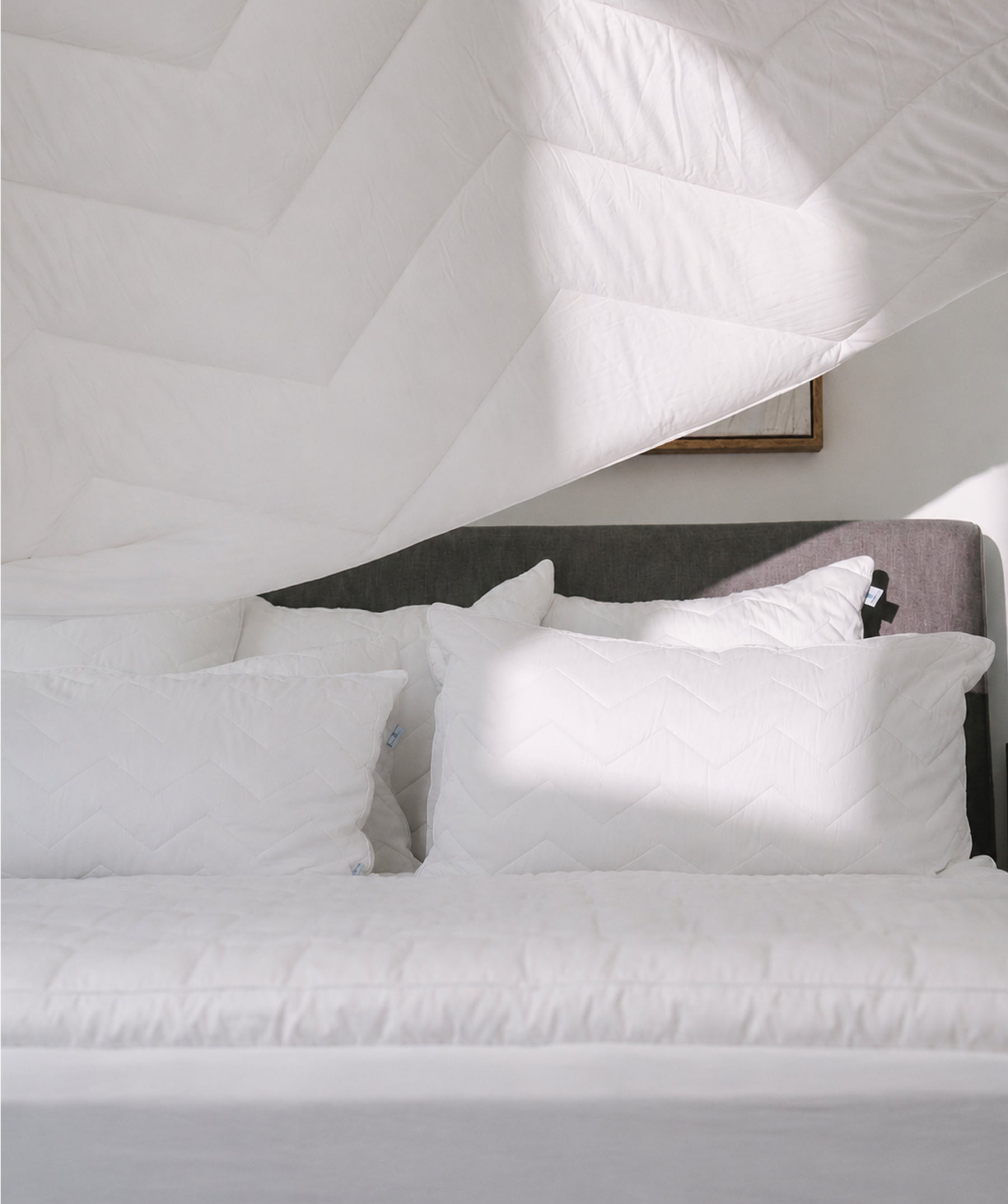Supreme Comfort Down Alternative Comforter - Lightweight