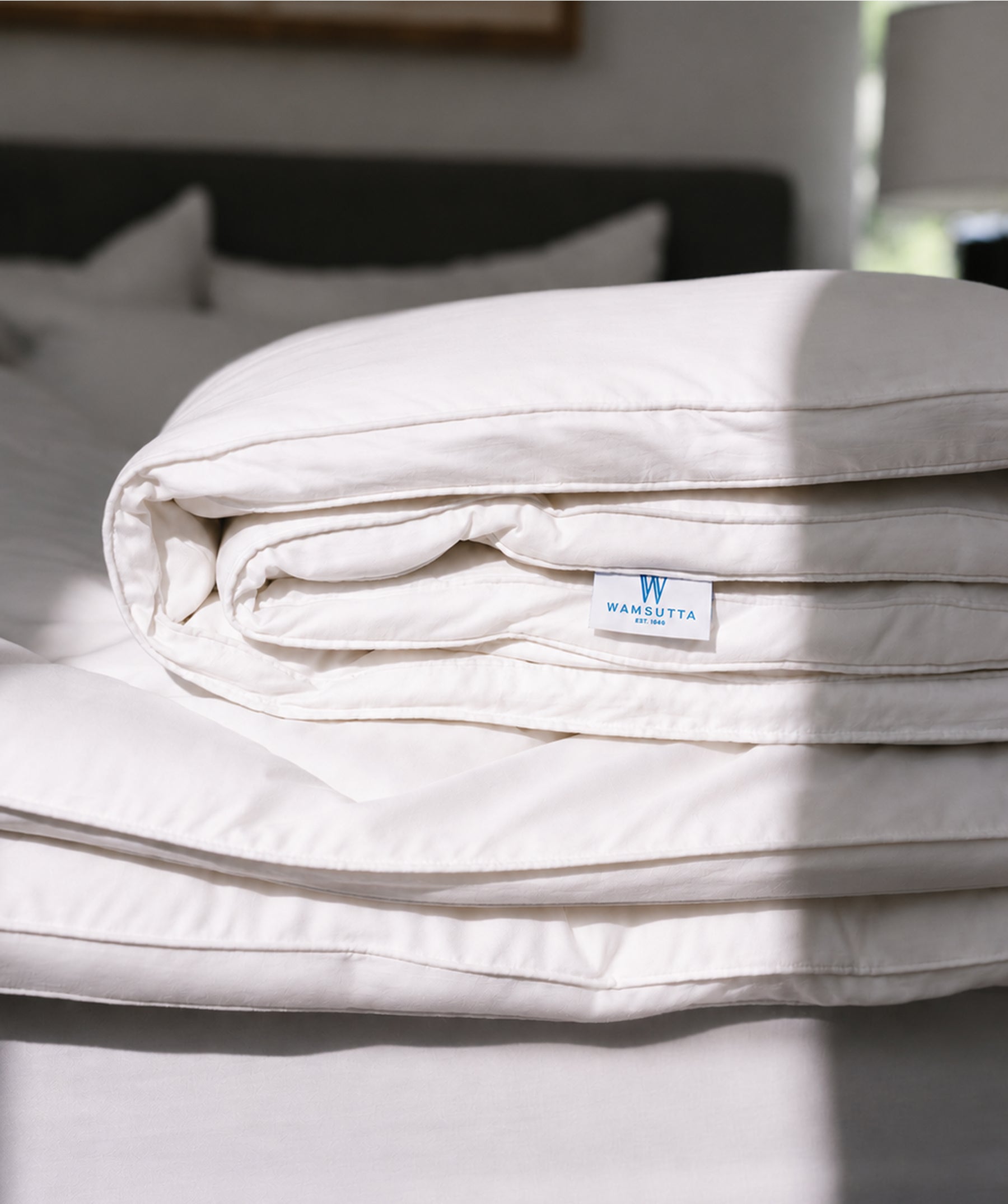 Supreme Comfort Down Alternative Comforter - Lightweight