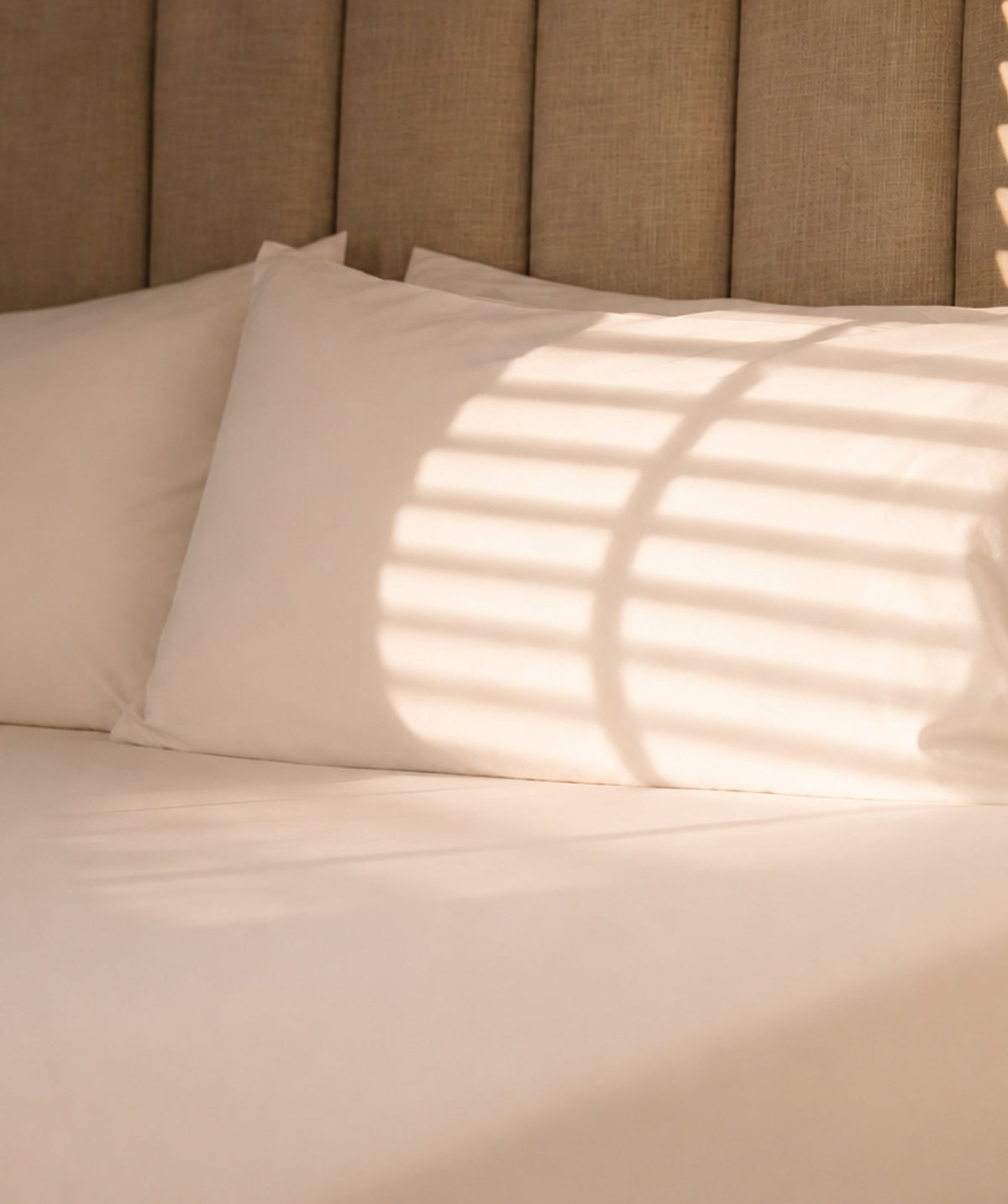 White pillowcases styled on a bed with warm sunlight and window shadows.