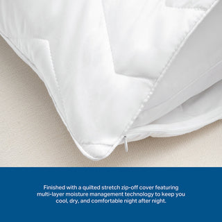 Supreme Comfort Latex Loft Bed Pillow - Soft